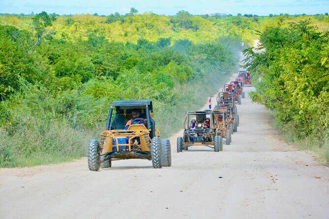 Single Driver Buggy Adventure in Punta Cana  1 Person/Vehicle - Timing and Group Size