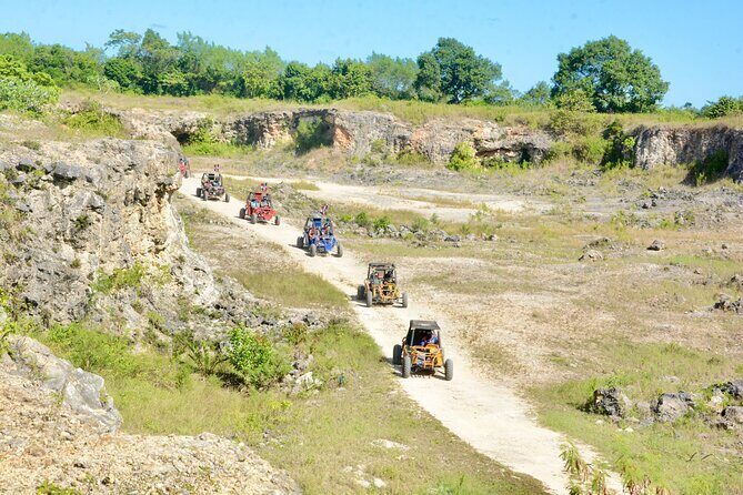 Single Driver Buggy Adventure in Punta Cana  1 Person/Vehicle - The Experience Provider: Wild Tiger Buggy