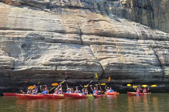 Single Guided Kayaking Tour near Chicago - Key Points