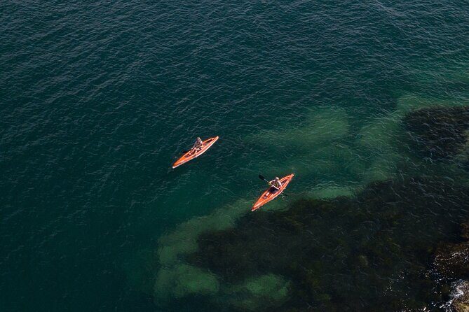 Single Kayak Hire - 4 Hours - Who Will Love This Experience?