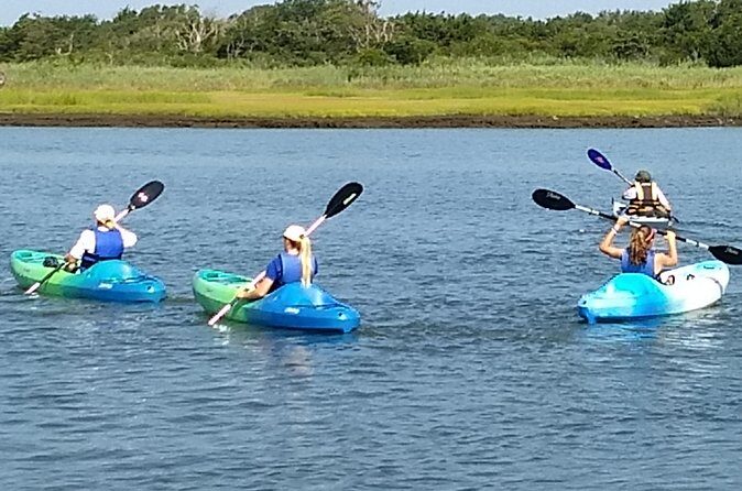 Single Kayak Rental - What the Reviews Say