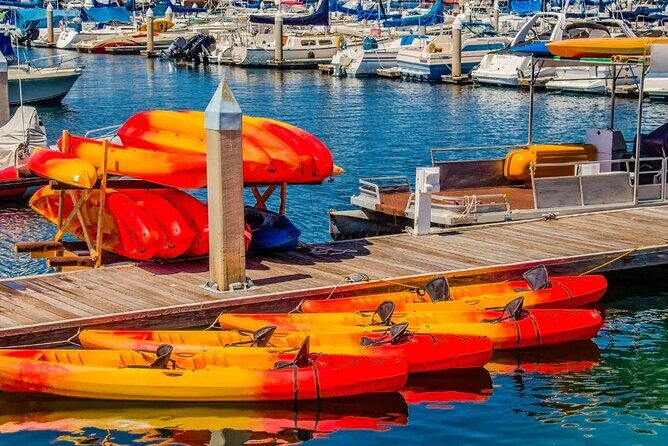 Single Kayak Rental in Mission Bay - Key Points