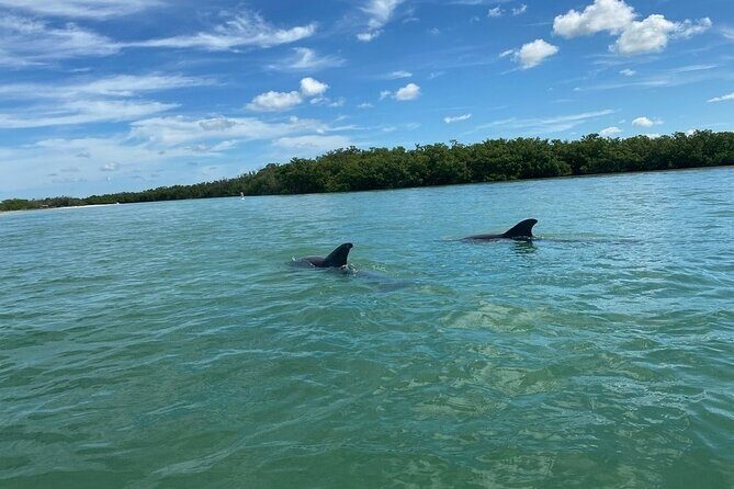 Single Kayak Rental on Big Hickory Pass - Key Points