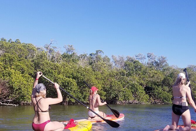 Single Kayak Rental on Big Hickory Pass - Pricing and Value