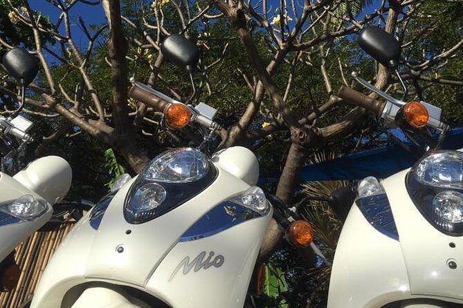 Single Passenger Moped/Scooter - 18+ NO Motorcycle License Needed - Cost and Value