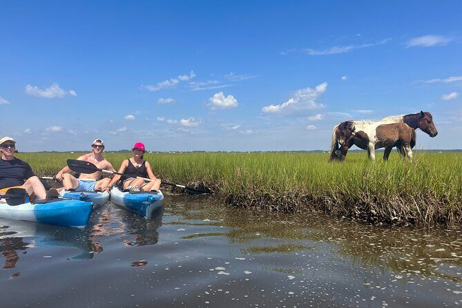 Single Sit on Top Kayak Rental at Assateague Island, MD - The Itinerary and What to Expect