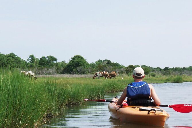 Single Sit on Top Kayak Rental at Assateague Island, MD - The Sum Up: Is This Kayak Rental Worth It?