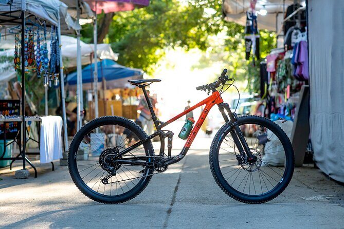 SINGLETRACK MOUNTAIN BIKE - Guided through the jungle - Exploring the Details of the Tour