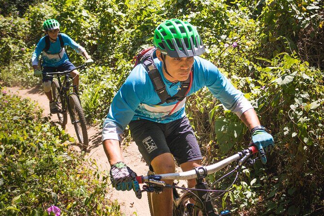 SINGLETRACK MOUNTAIN BIKE - Guided through the jungle - Final Thoughts