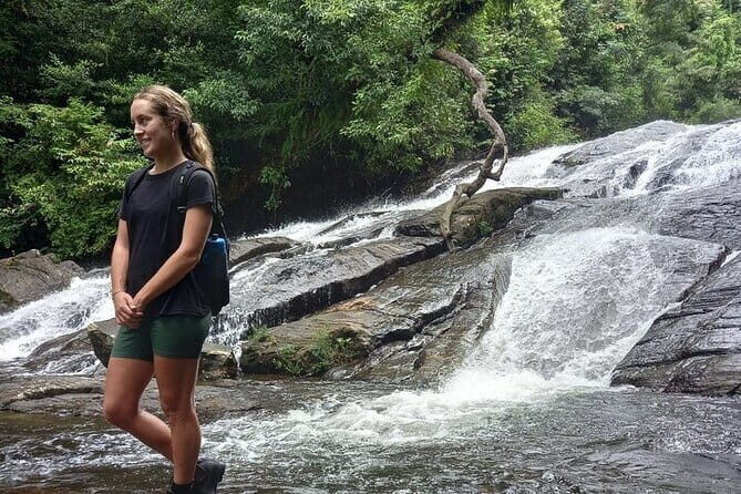 Sinharaja Rain Forest and Tea Factory Day Tour - Exploring Sinharaja Rain Forest