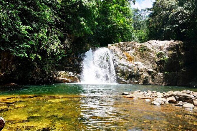 Sinharaja Rain Forest Tour from Tangalle - Key Points