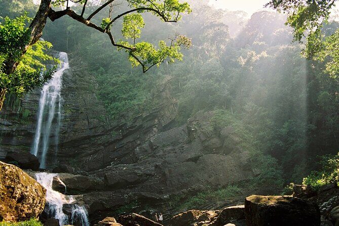 Sinharaja Rain Forest Tour from Tangalle - Who Should Consider This Tour?