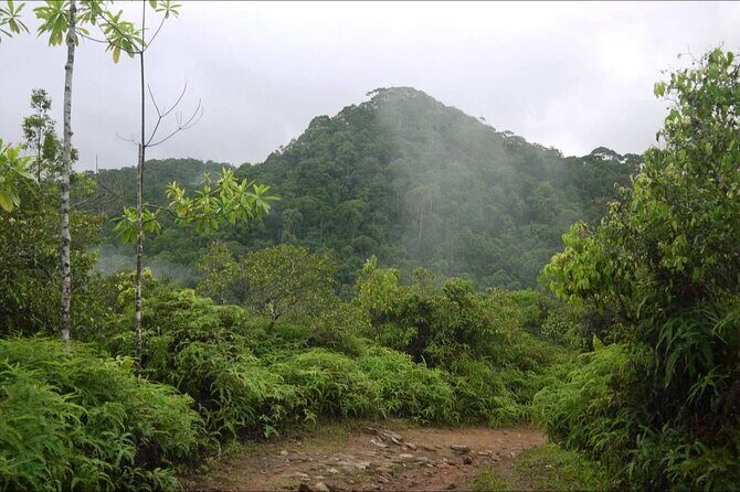 Sinharaja Rain Forest Tour from Tangalle - The Sum Up: Who Will Love This Tour?