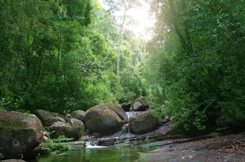 Sinharaja Rainforest: Day Trip From Galle or Bentota - FAQ