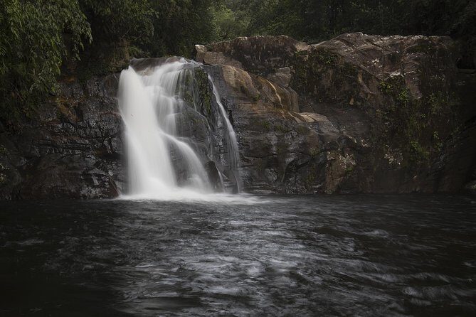 Sinharaja' rainforest - Discovery Tour (half day) - An In-Depth Look at the Sinharaja Rainforest Discovery Tour