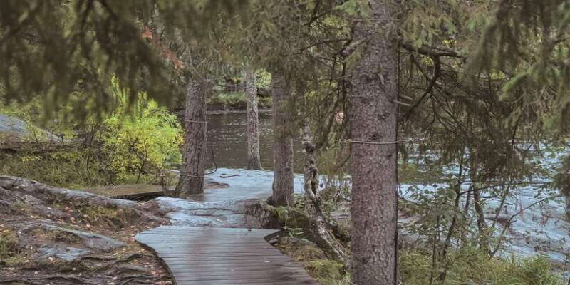 Sinharaja Rainforest Private & Customize Tour - An In-Depth Look at the Sinharaja Rainforest Tour