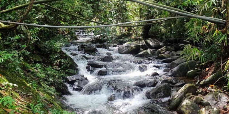 Sinharaja Rainforest Private & Customize Tour - Authenticity and the Experience