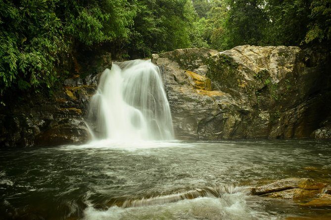 Sinharaja RainForest Private Full Day Tour - Who Will Love This Tour?