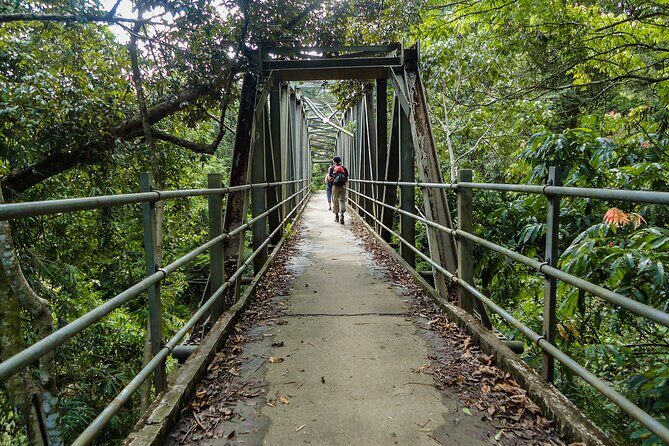 Sinharaja Rainforest Private Half Day Tour with Licensed Guide - The Journey into Sri Lanka’s Most Famous Rainforest