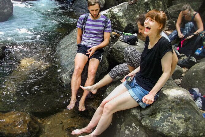Sinharaja Rainforest Private Half Day Tour with Licensed Guide - The Itinerary in Detail