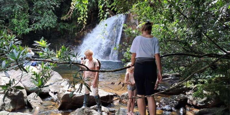 Sinharaja Rainforest Tour - Key Points