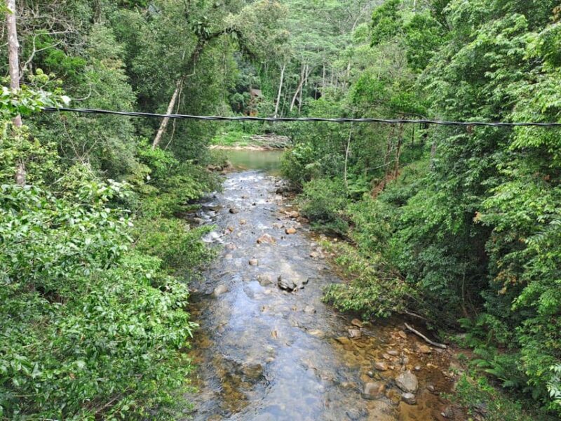 Sinharaja Rainforest Tour - FAQs