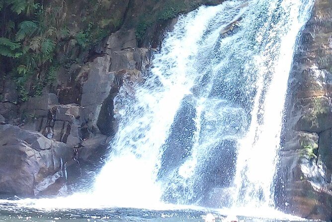 Sinharaja Rainforest Tour - Frequently Asked Questions