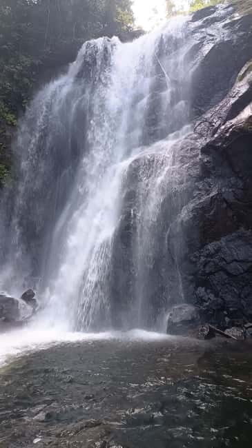 Sinharaja Rainforest: Tour with 5 Waterfalls Trek - Key Points