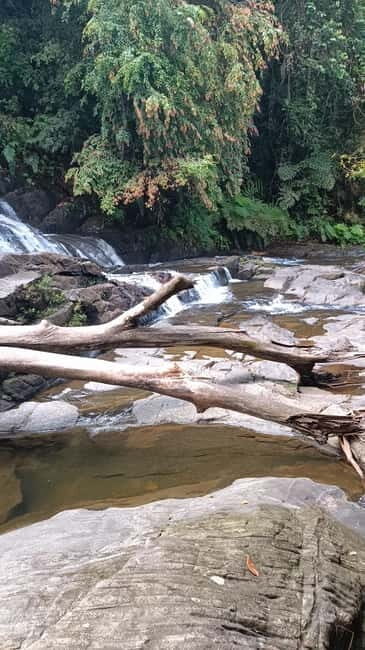 Sinharaja Rainforest: Tour with 5 Waterfalls Trek - An In-Depth Look at the Tour