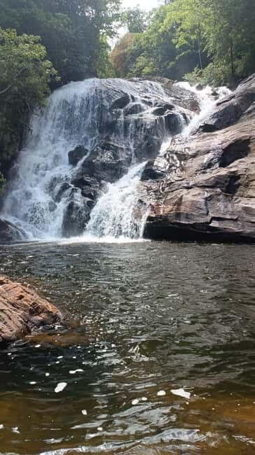 Sinharaja Rainforest: Tour with 5 Waterfalls Trek - The Experience: What You’ll See and Do