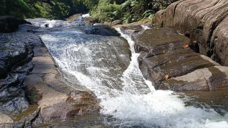 Sinharaja Rainforest: Tour with 5 Waterfalls Trek - Who Will Love This Tour?