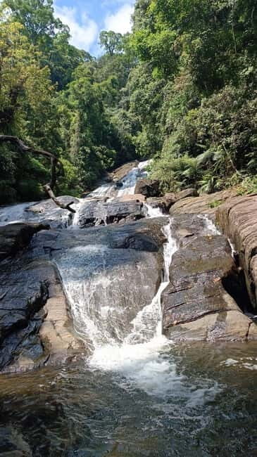 Sinharaja Rainforest: Tour with 5 Waterfalls Trek - FAQs