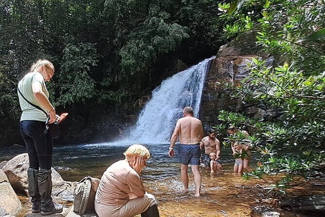 Sinharaja Rainforest Trip - Key Points