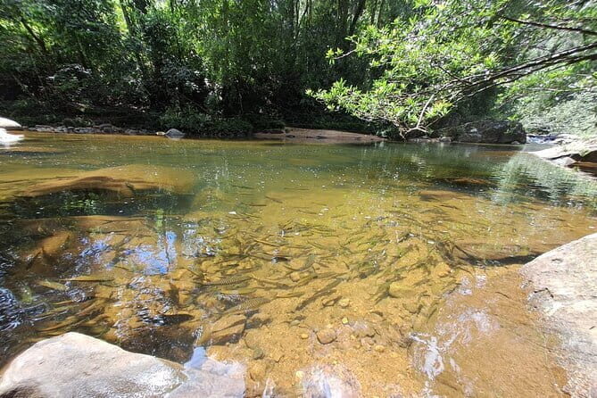 Sinharaja Rainforest Trip - The Experience in Detail: Breaking Down the Stops