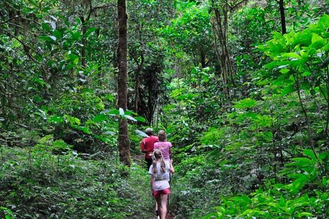 Sinharaja Trekking Day Trip - Private & All Inclusive - Key Points