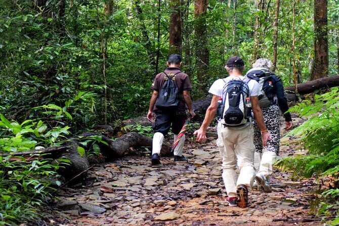 Sinharaja Trekking Day Trip - Private & All Inclusive - An In-Depth Look at the Tour