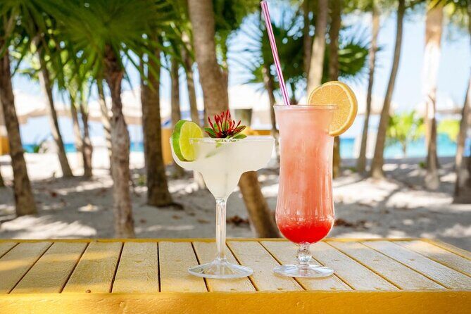 Sip and Sea A Mexican Mixology Escape - An In-Depth Look at the Tour