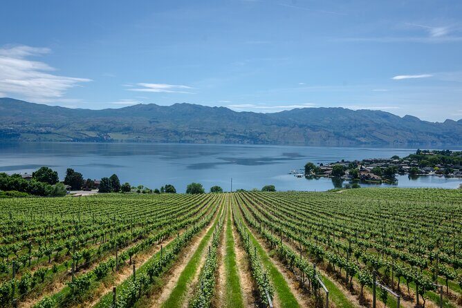 Sip & Savor: Private West Kelowna Wine Trail Escape - Final Thoughts: Who Is This Tour Best For?