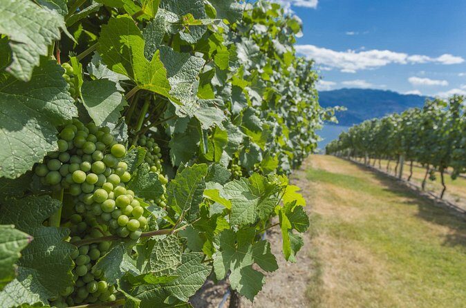 Sip & Savor: Private West Kelowna Wine Trail Escape - Final Words