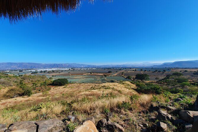 Sip & Savor Tequila Experience Distillery w/ Lunch fr Guadalajara - Analyzing Value and Experience