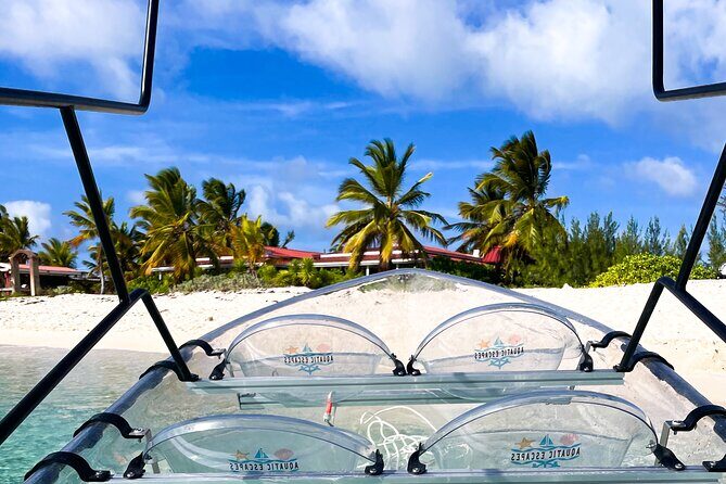 Sip & Sea Mangrove Glass Boat Tour Grand Turk Island - Introduction