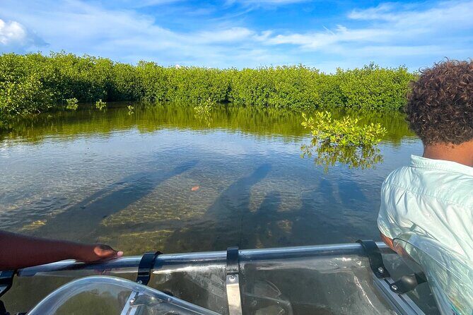 Sip & Sea Mangrove Glass Boat Tour Grand Turk Island - FAQs
