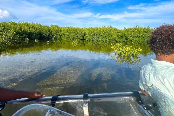 Sip & Sea Mangrove Glass Boat Tour Grand Turk Island - Final Thoughts