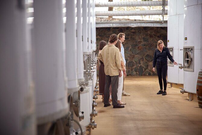 Sirromet Winery Tour and Taste and 2 Course Lunch - Authenticity and Value