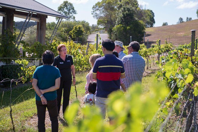 Sirromet Winery Tour and Wine Tasting - Key Points