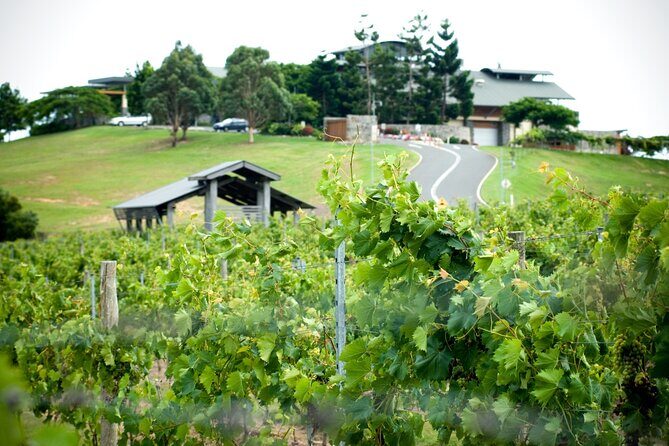Sirromet Winery Tour and Wine Tasting - FAQ