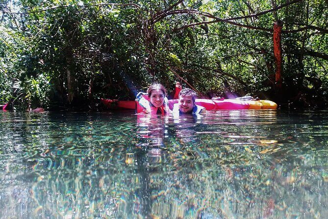 Sisal kayak through Mangroves & Bird watching from Merida - The Sum Up