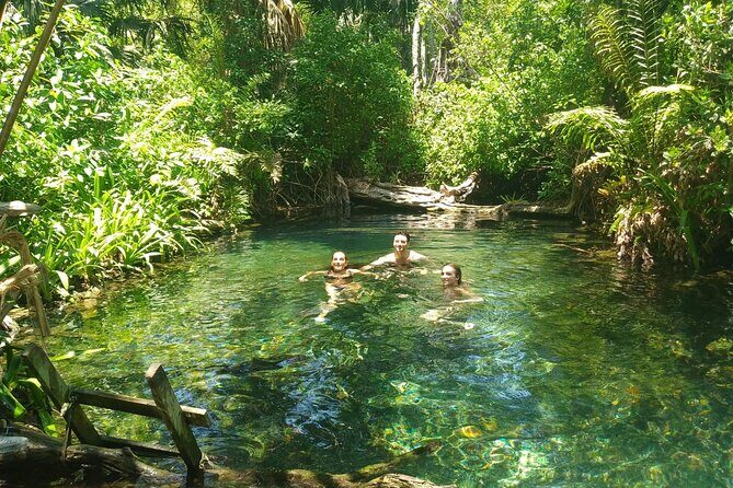 Sisal kayak through Mangroves & Bird watching from Merida - FAQ