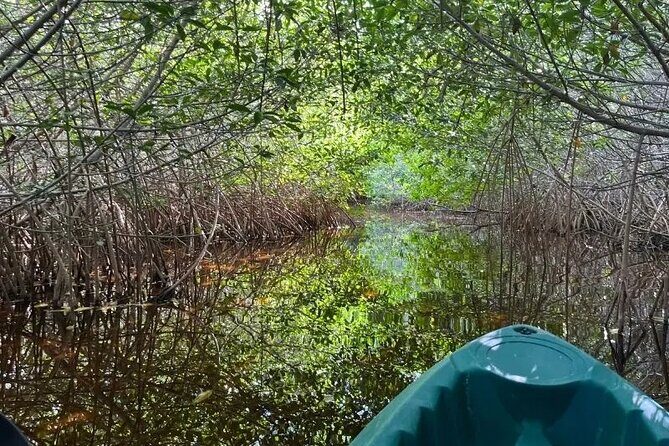 Sisal & Mangroves Kayak Tour from Merida - Return to Merida