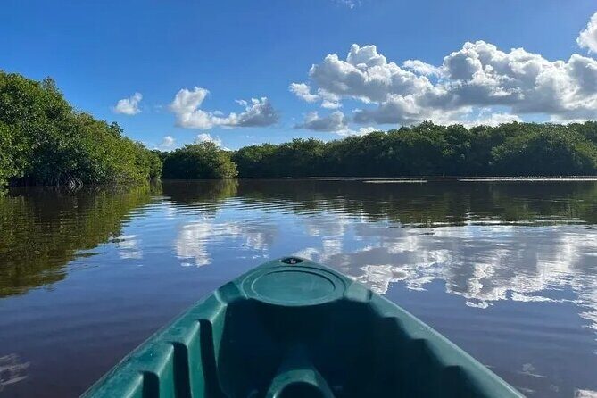 Sisal & Mangroves Kayak Tour from Merida - Timing and Weather